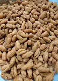 Kuih Siput-img