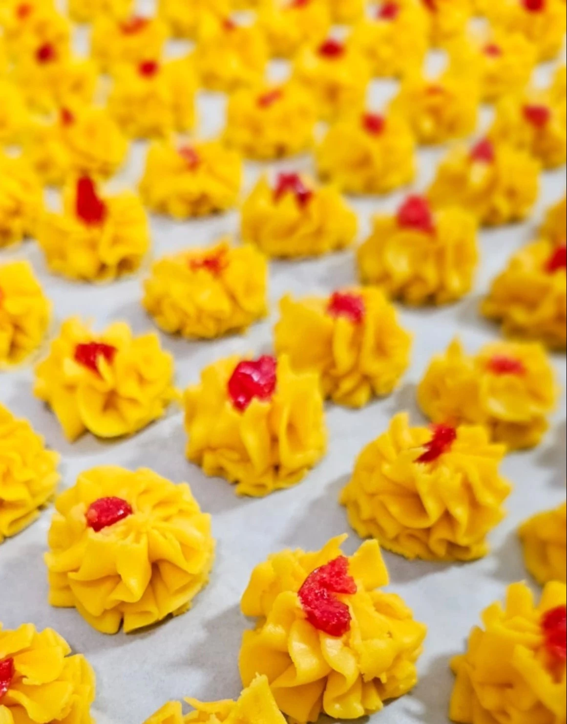 Custard Biscuit ( Dahlia )-img